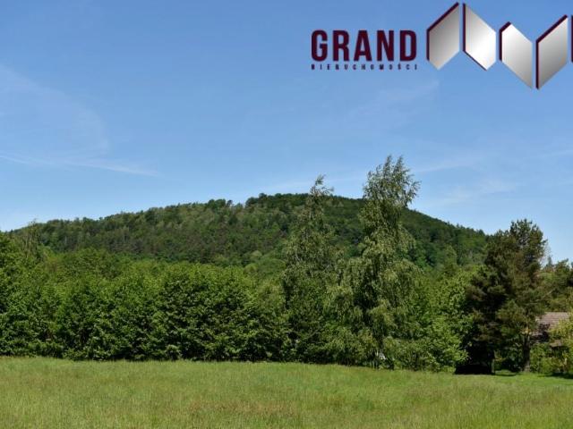 Szpotawicka 2 700 m², Górki Wielkie