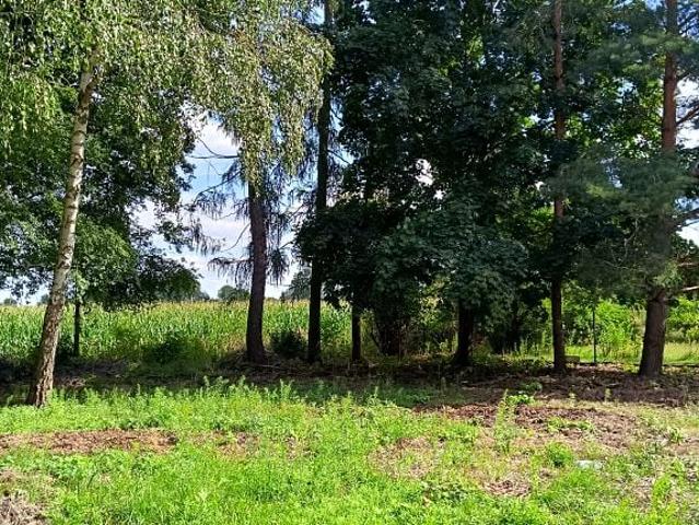 Szymanowska 1 200 m², Teresin