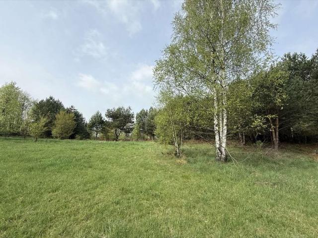 Działka 14 000 m² pod dom, las, jezioro, polecam!